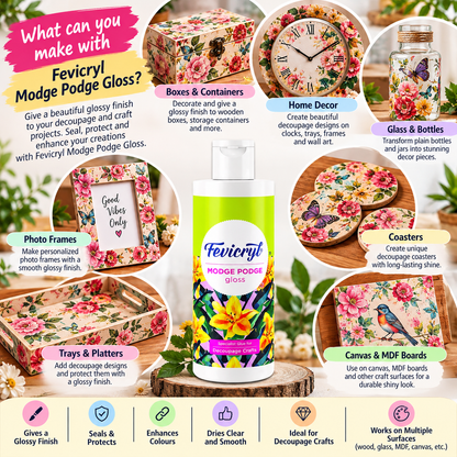 Pidilite Fevicryl Modge Podge Gloss