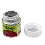 Fevicryl Acrylic Silver Dust- 5gms
