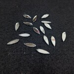 Glass Mirror- Petal- 20MM