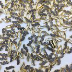 S- Shape Kundan Mirror Stones - 12x5mm